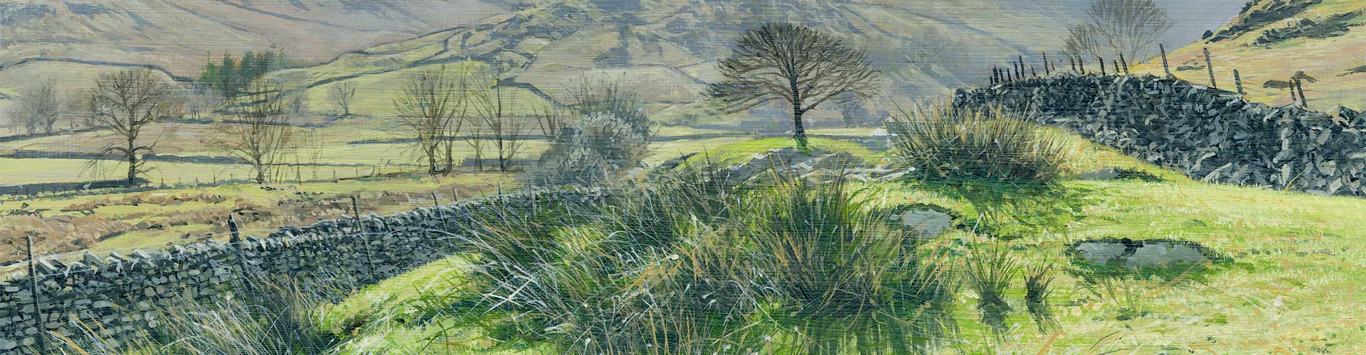Alistair Butt oil painting of Little Langdale in Cumbria