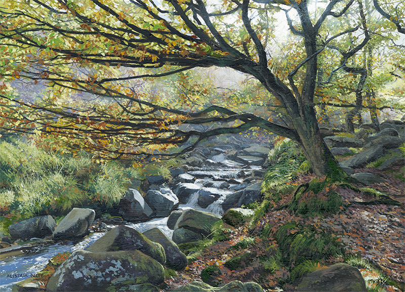 Moorland stream in Autumn