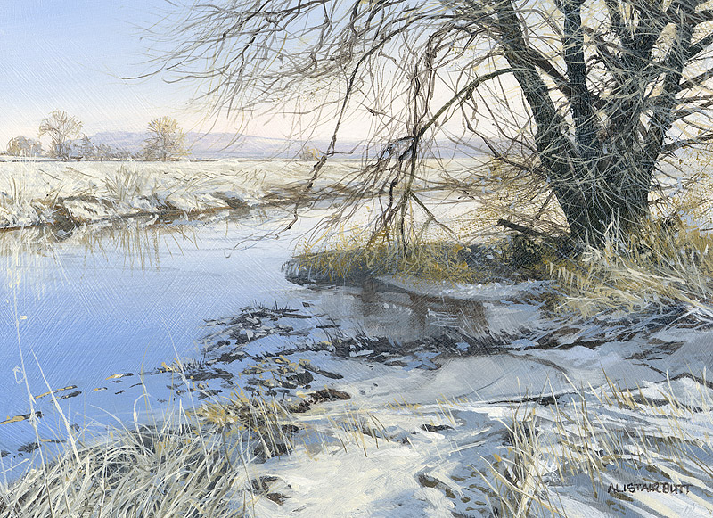 Frozen banks