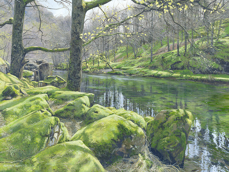 Moss covered banks, Borrowdale