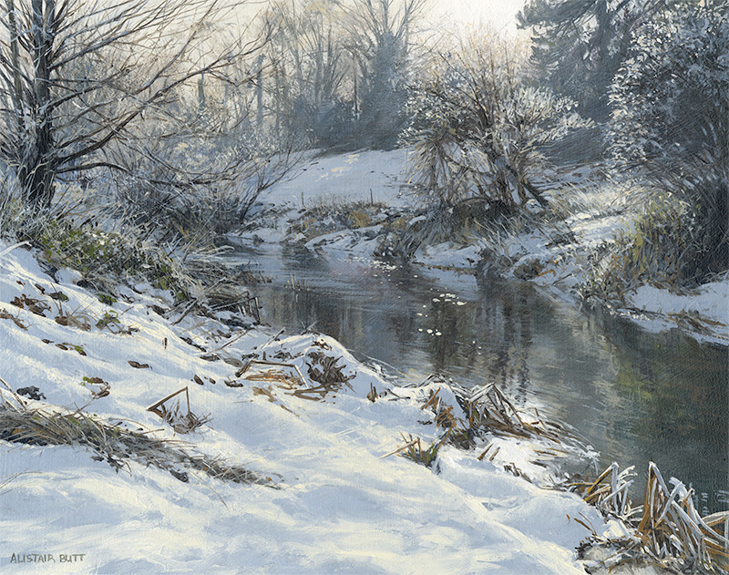 Hoar Frost and Snow