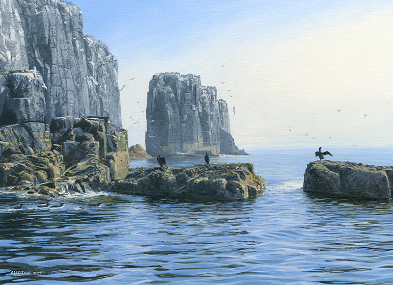 Sea Fret clearing from Farne Islands