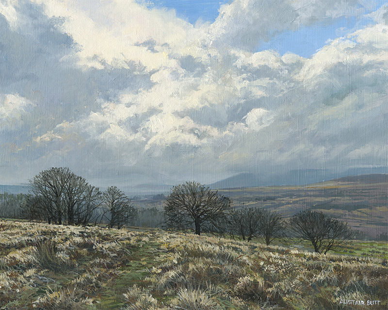 It Snowed later, North Yorkshire