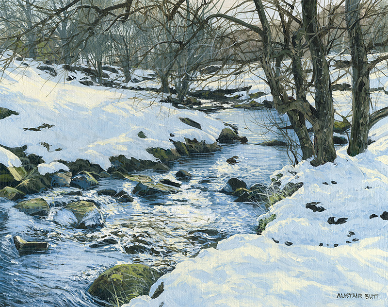 Bright December Morning